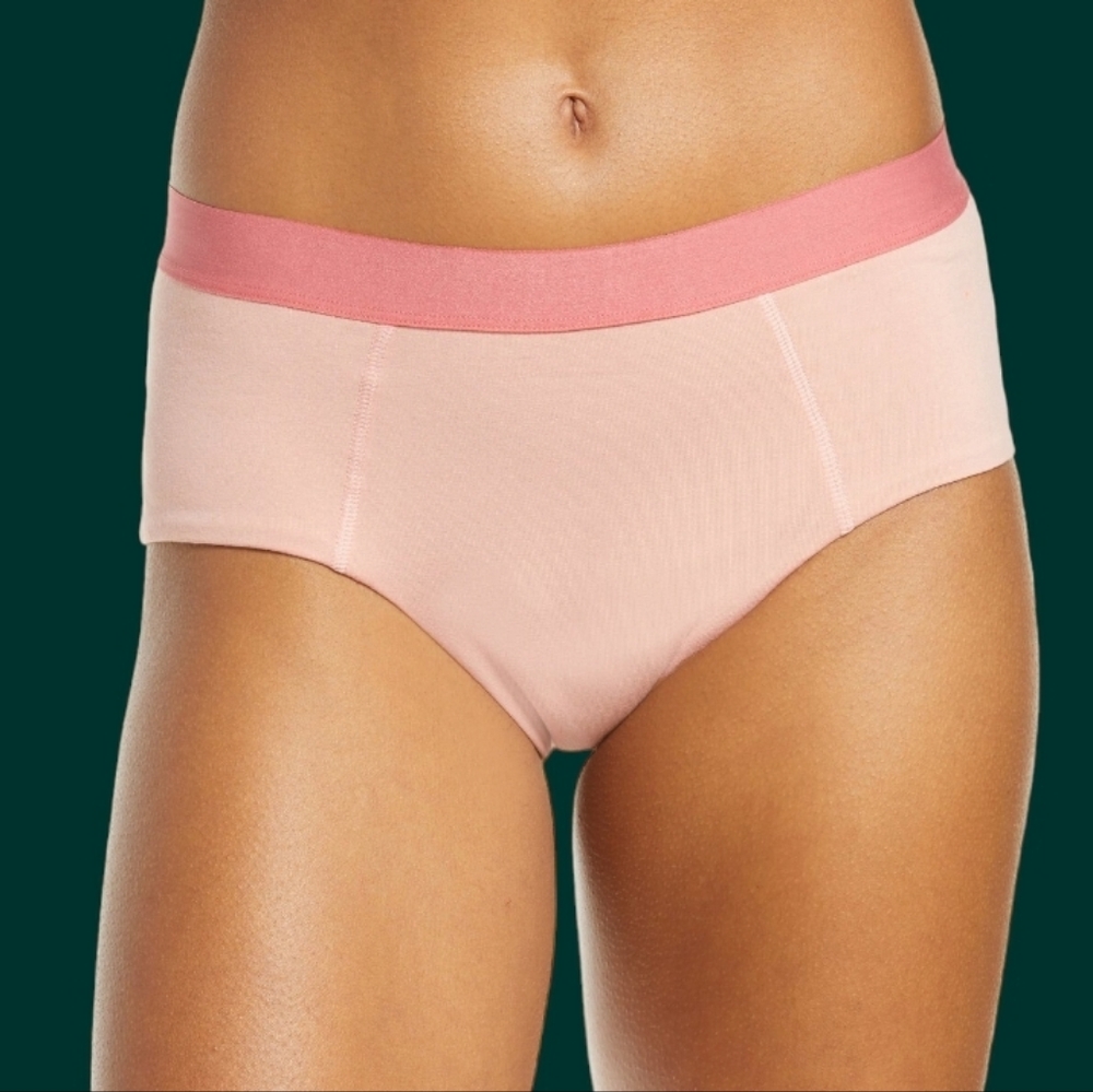🌷 NWT Thinx Organic Period Brief Underwear